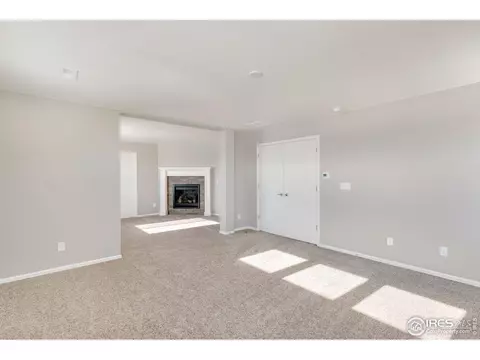 6111 Gannet Dr, Timnath, CO 80547 photo 17