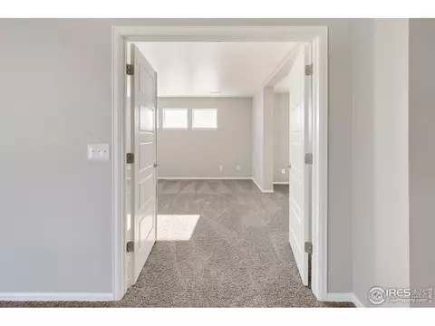 6111 Gannet Dr, Timnath, CO 80547 photo 16