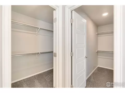6111 Gannet Dr, Timnath, CO 80547 photo 22