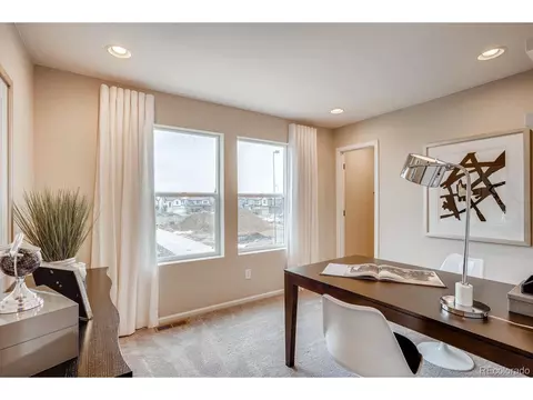 17153 W 91st Ln, Arvada, CO 80007 photo 31