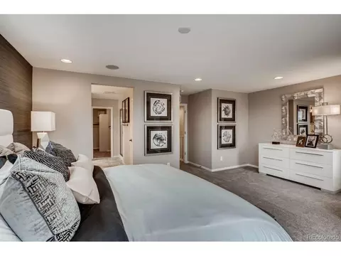 17153 W 91st Ln, Arvada, CO 80007 photo 22