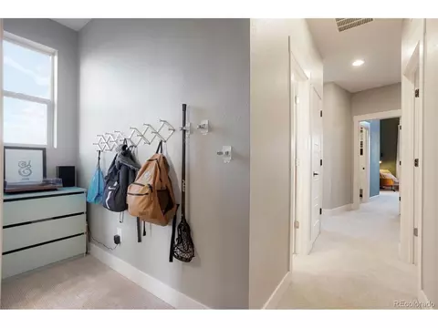 8683 E 55th Ave, Denver, CO 80238 photo 36