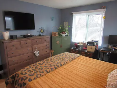 6950 E 1st Pl, Denver, CO 80220 photo 16