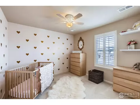 3554 E 143rd Pl, Thornton, CO 80602 photo 20