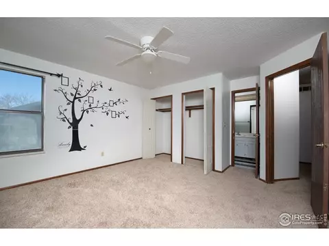 4364 E 127th Pl, Thornton, CO 80241 photo 9