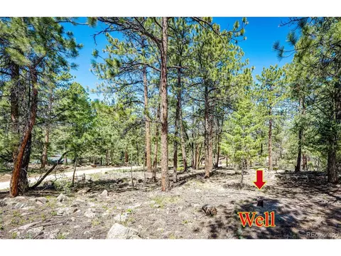 S Wandcrest Dr, Pine, CO 80470 photo 11