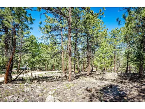 S Wandcrest Dr, Pine, CO 80470 photo 10