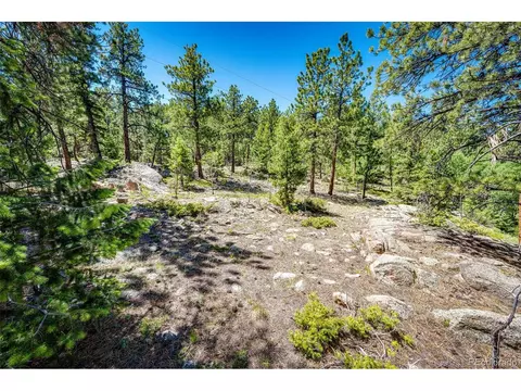 S Wandcrest Dr, Pine, CO 80470 photo 6