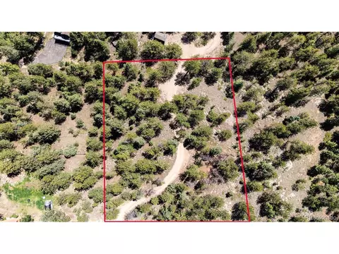 S Wandcrest Dr, Pine, CO 80470 photo 27