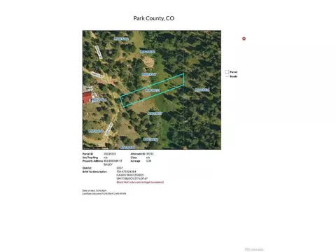 406 Brown St, Bailey, CO 80421 photo 4