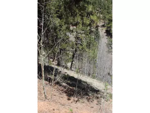 406 Brown St, Bailey, CO 80421 photo 3