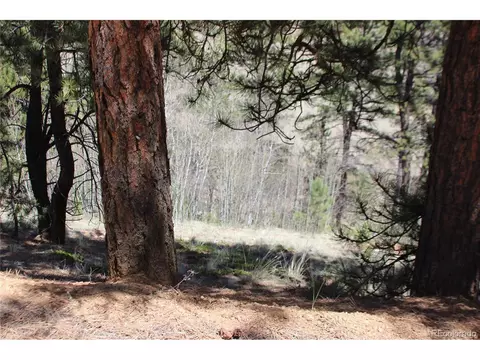 406 Brown St, Bailey, CO 80421