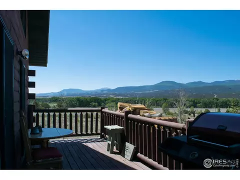 161 W Pfeiffer Loop, South Fork, CO 81154 photo 7