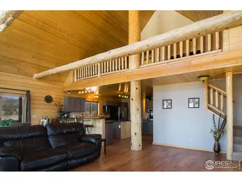 161 W Pfeiffer Loop, South Fork, CO 81154 photo 11