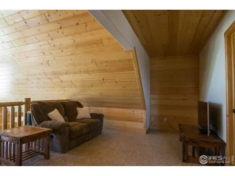 161 W Pfeiffer Loop, South Fork, CO 81154 photo 21
