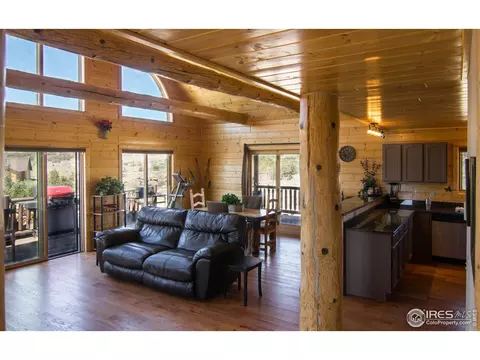 161 W Pfeiffer Loop, South Fork, CO 81154 photo 8