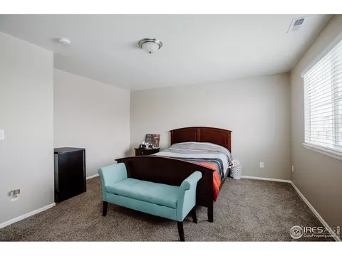 6071 Moran Rd, Timnath, CO 80547 photo 27