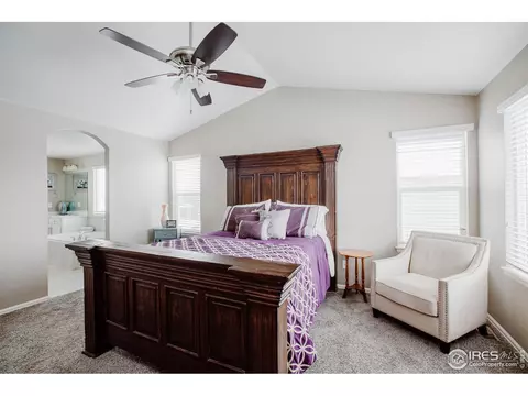 6071 Moran Rd, Timnath, CO 80547 photo 29