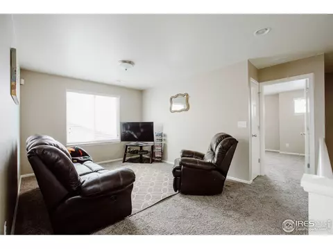 6071 Moran Rd, Timnath, CO 80547 photo 22
