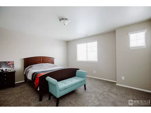 6071 Moran Rd, Timnath, CO 80547 photo 26