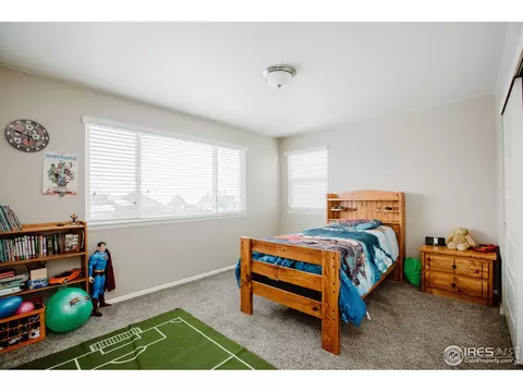 6071 Moran Rd, Timnath, CO 80547 photo 23