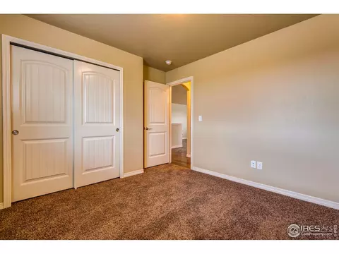 1196 Bowen Pass St, Severance, CO 80550 photo 3