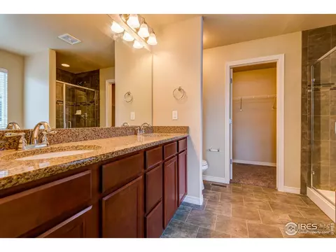 1196 Bowen Pass St, Severance, CO 80550 photo 13