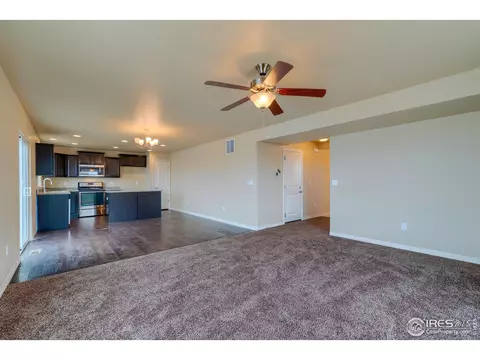 1194 Bowen Pass St, Severance, CO 80550 photo 14