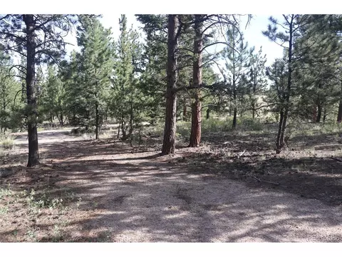 Singletree Rd, Buena Vista, CO 81211