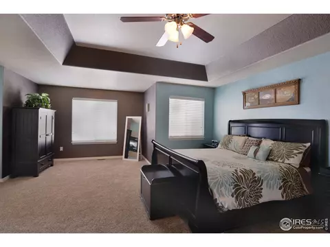 642 Sundance Dr, Windsor, CO 80550 photo 19