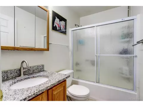 547 E 77th Pl, Thornton, CO 80229 photo 26