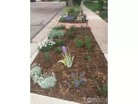 824 Elm St, Windsor, CO 80550 photo 39