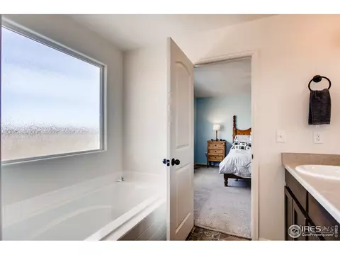 834 Lakebrook Ct, Windsor, CO 80550 photo 28
