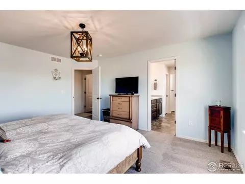 834 Lakebrook Ct, Windsor, CO 80550 photo 25
