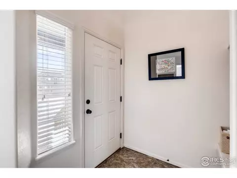 834 Lakebrook Ct, Windsor, CO 80550 photo 5