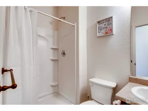 834 Lakebrook Ct, Windsor, CO 80550 photo 35