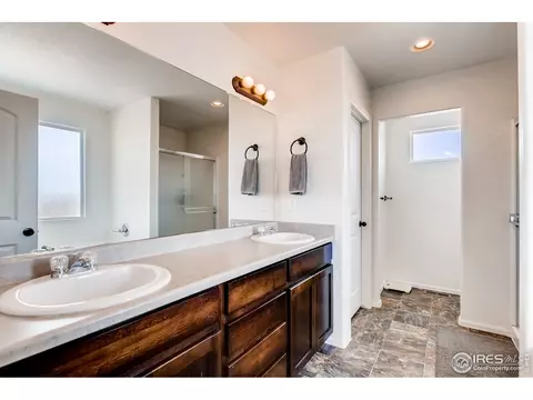 834 Lakebrook Ct, Windsor, CO 80550 photo 26