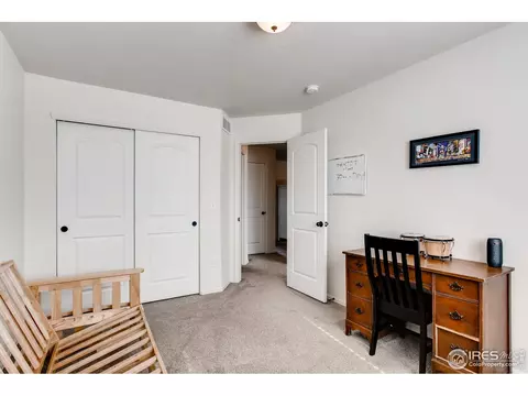 834 Lakebrook Ct, Windsor, CO 80550 photo 33