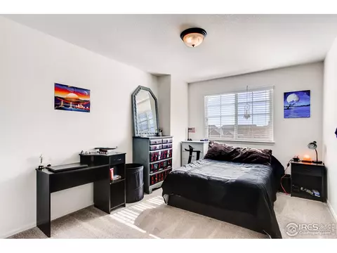 834 Lakebrook Ct, Windsor, CO 80550 photo 29