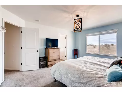 834 Lakebrook Ct, Windsor, CO 80550 photo 24