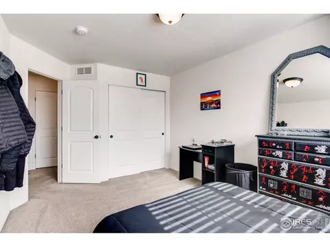 834 Lakebrook Ct, Windsor, CO 80550 photo 30