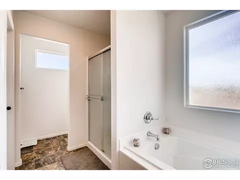 834 Lakebrook Ct, Windsor, CO 80550 photo 27