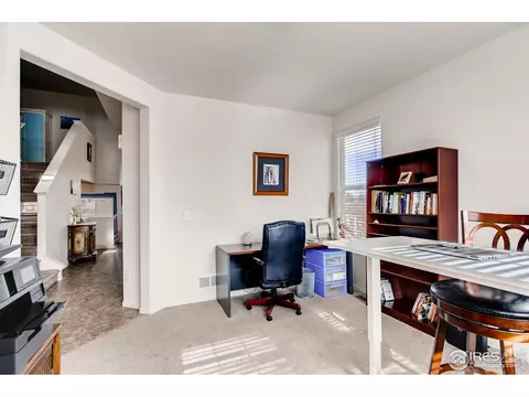 834 Lakebrook Ct, Windsor, CO 80550 photo 22