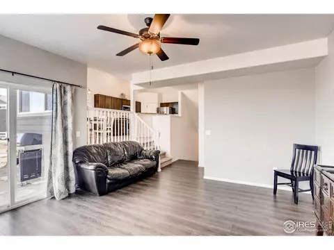834 Lakebrook Ct, Windsor, CO 80550 photo 18