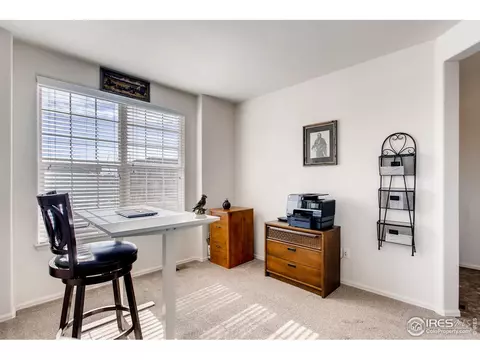 834 Lakebrook Ct, Windsor, CO 80550 photo 21