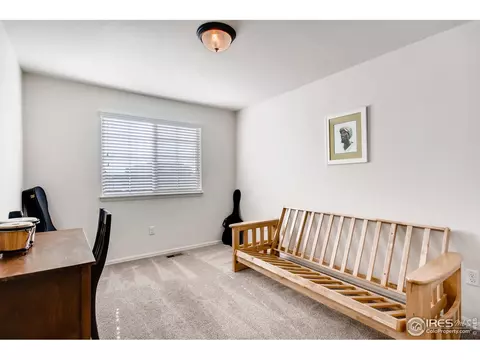 834 Lakebrook Ct, Windsor, CO 80550 photo 32