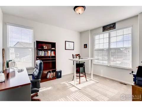 834 Lakebrook Ct, Windsor, CO 80550 photo 20