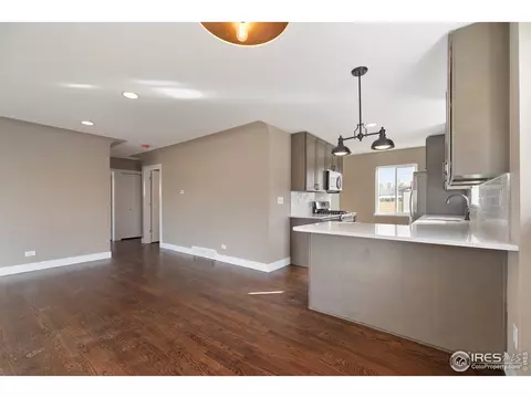 3278 Ivanhoe St, Denver, CO 80207 photo 8