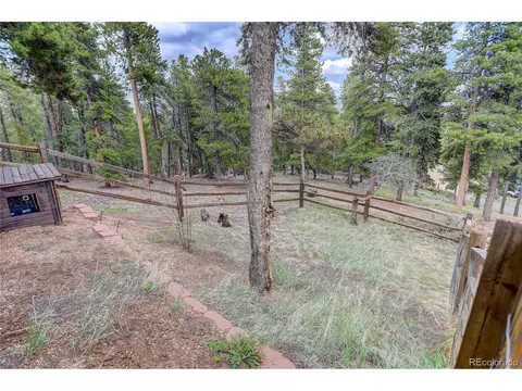 302 Ranch Way, Bailey, CO 80421 photo 35