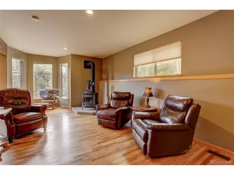 302 Ranch Way, Bailey, CO 80421 photo 17